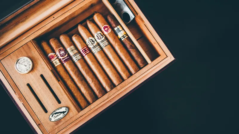 Beyond the Humidor: Can Premium Cigars Actually Build Your Wealth?