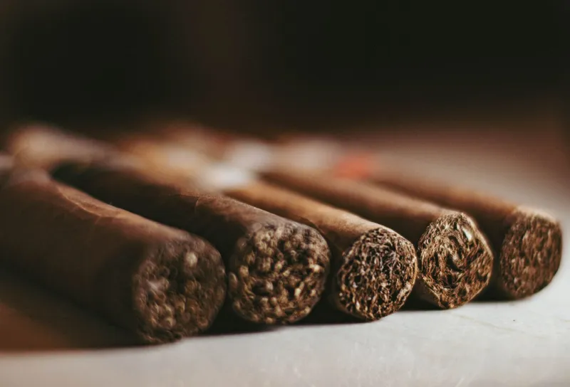 Buy Now or Hold Off? How Smart Collectors Navigate the Rare Cigar Market