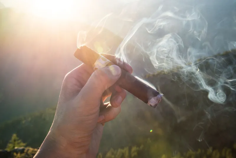 Why Your Cigar Tastes Different Every Time You Light Up (And What You Can Do About It)