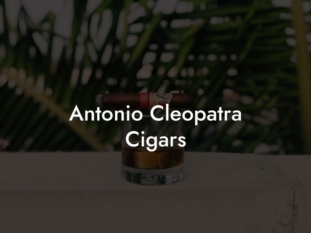 Antonio Cleopatra Cigars