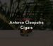 Antonio Cleopatra Cigars