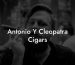 Antonio Y Cleopatra Cigars