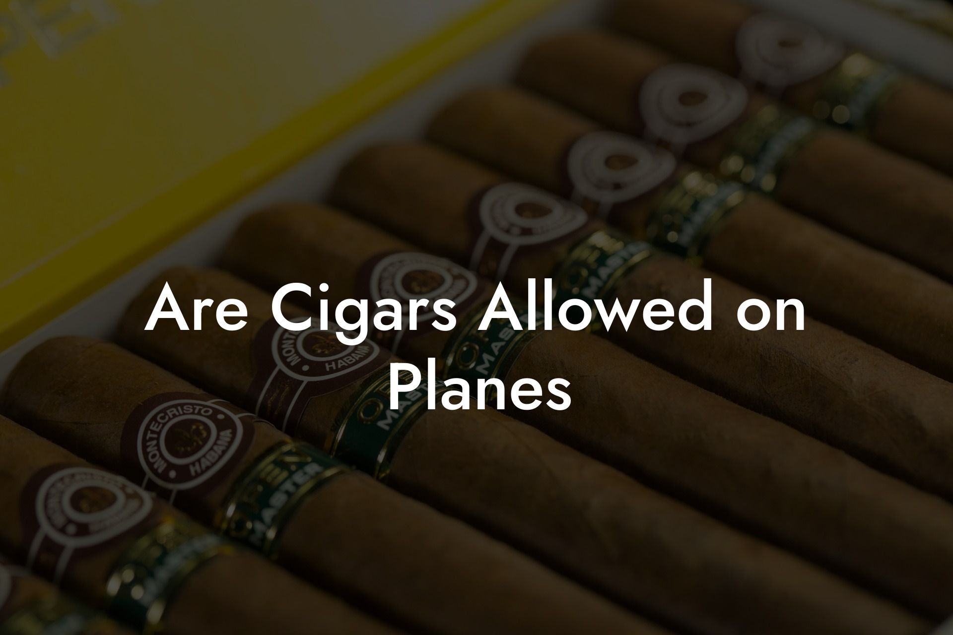 Are Cigars Allowed on Planes