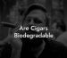 Are Cigars Biodegradable