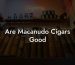 Are Macanudo Cigars Good