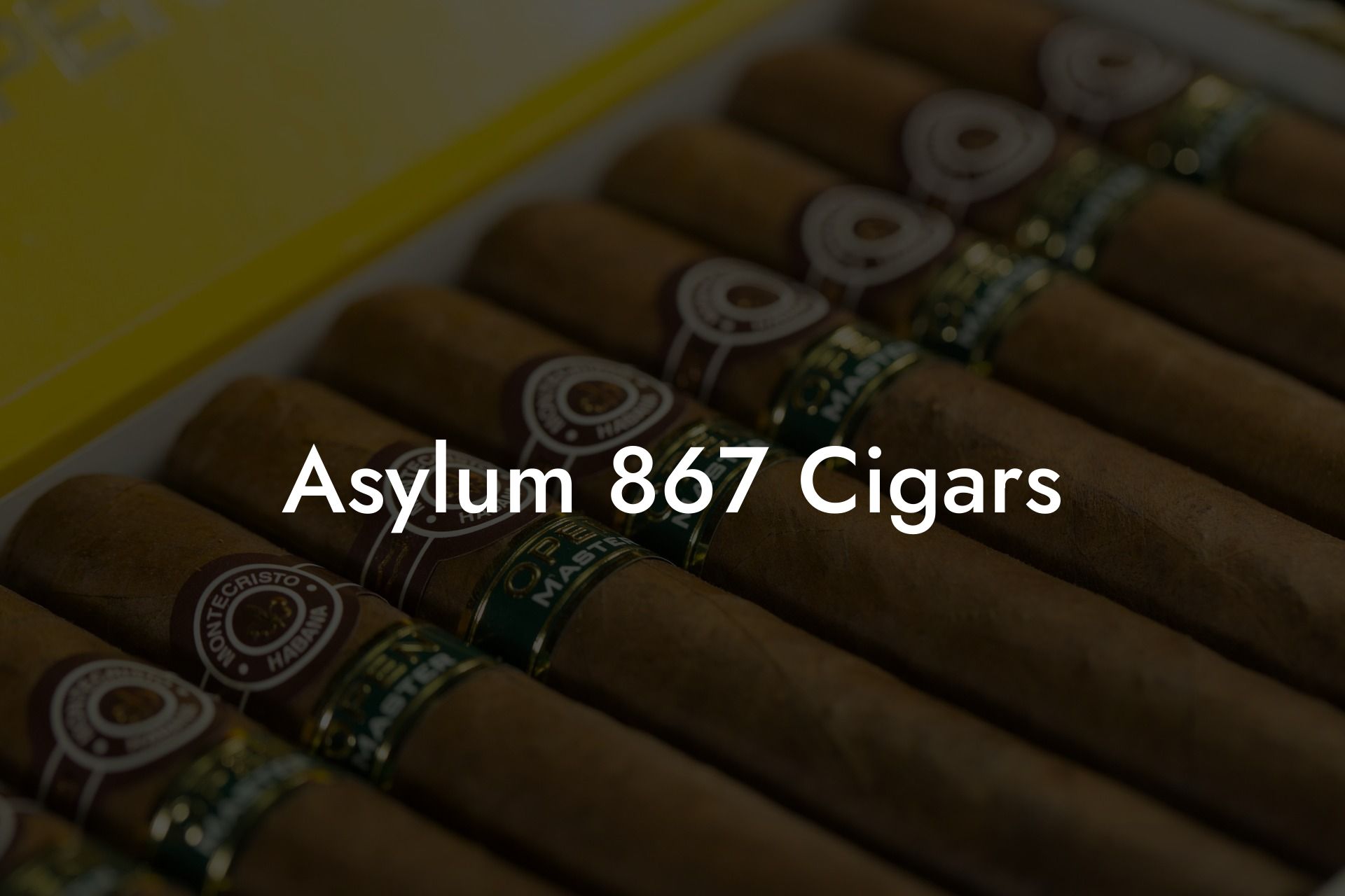 Asylum 867 Cigars