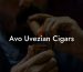 Avo Uvezian Cigars