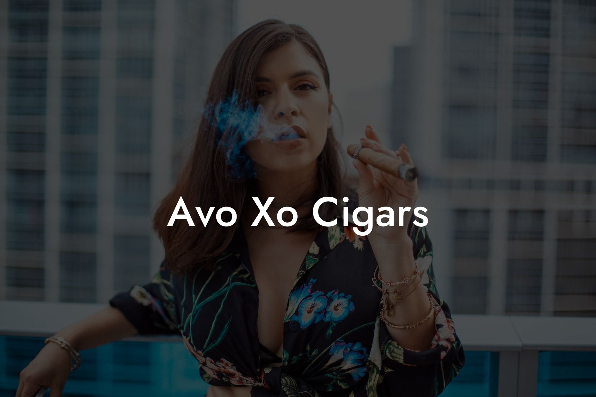 Avo Xo Cigars