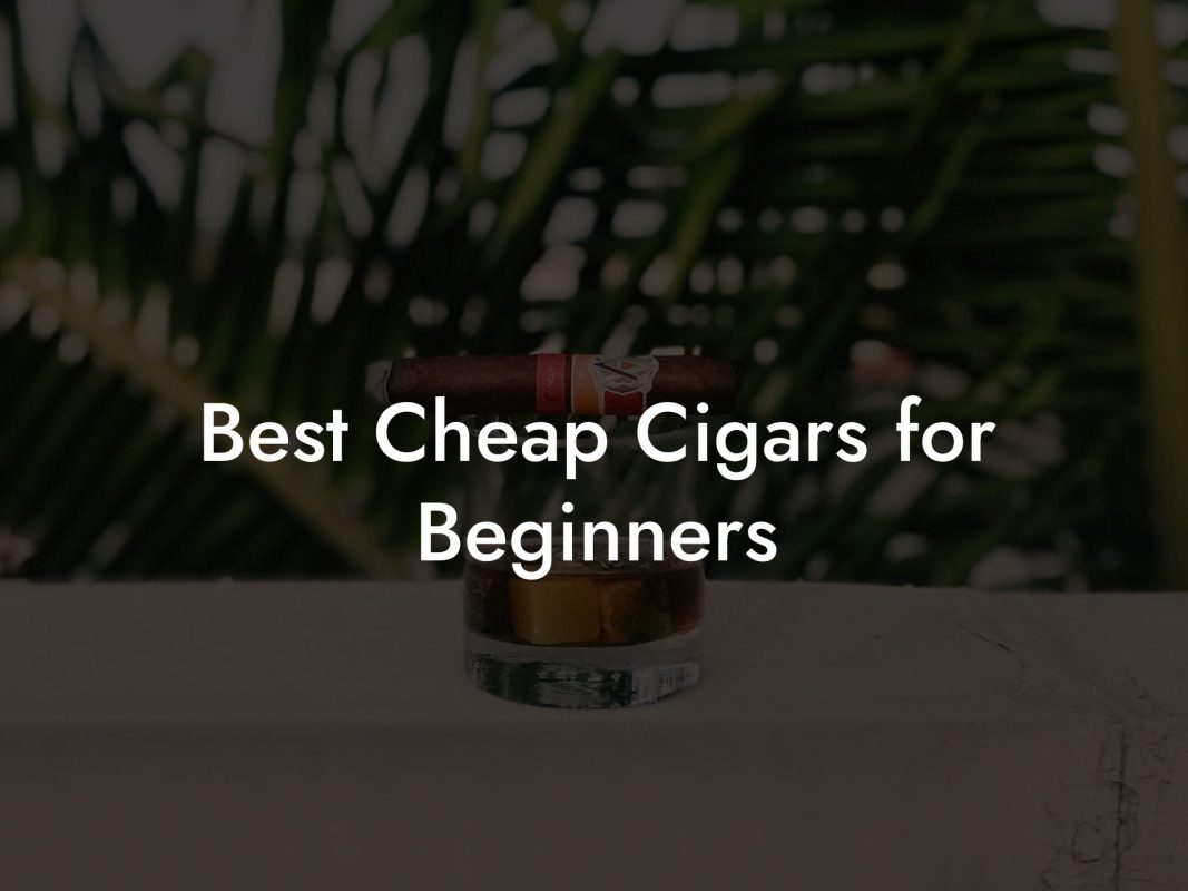 Best Cheap Cigars for Beginners