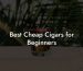 Best Cheap Cigars for Beginners