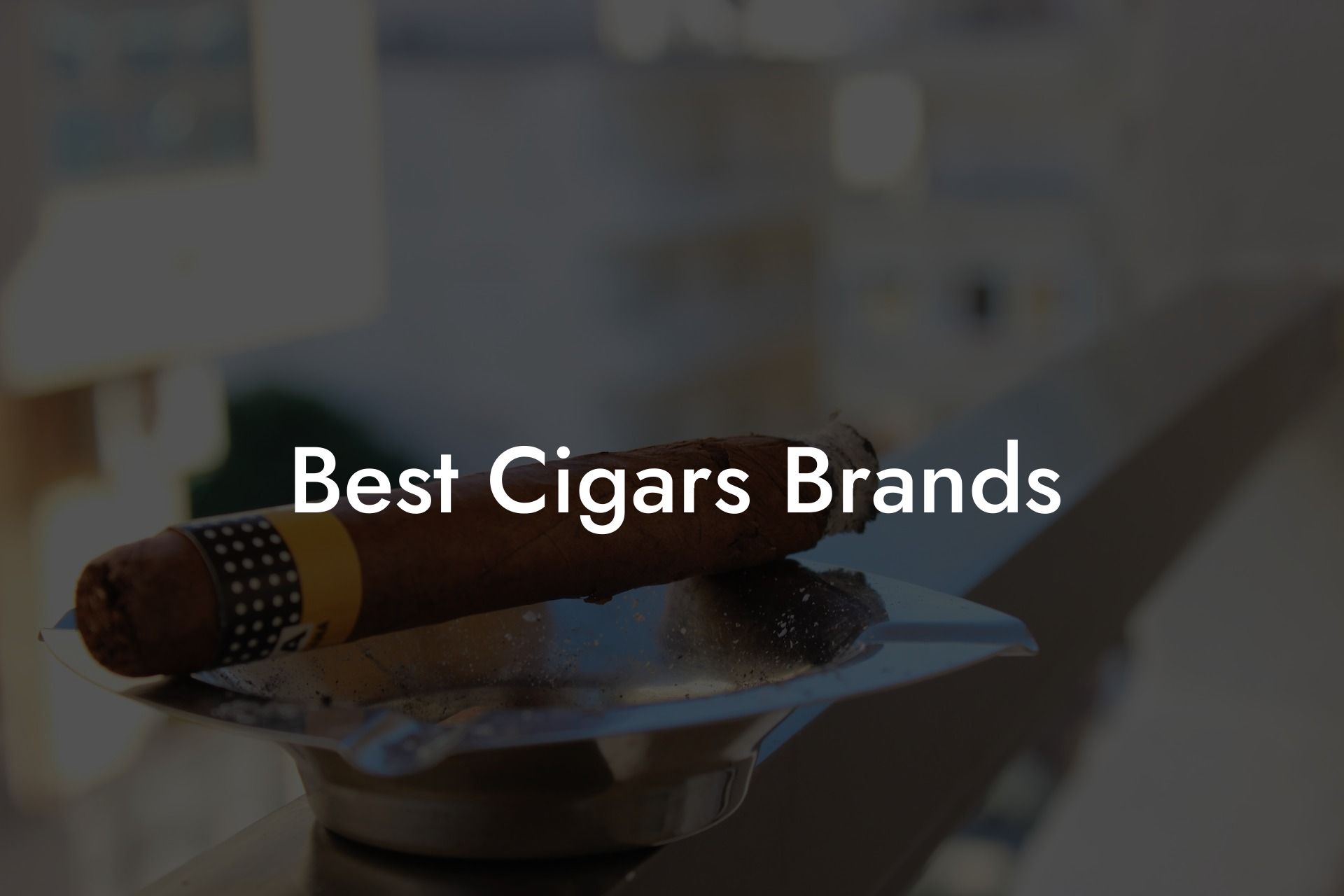 Best Cigars Brands