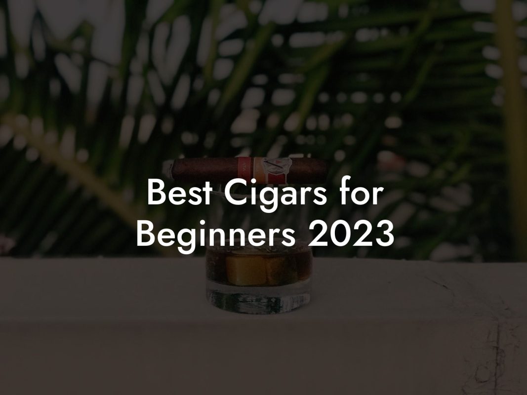 Best Cigars for Beginners 2023