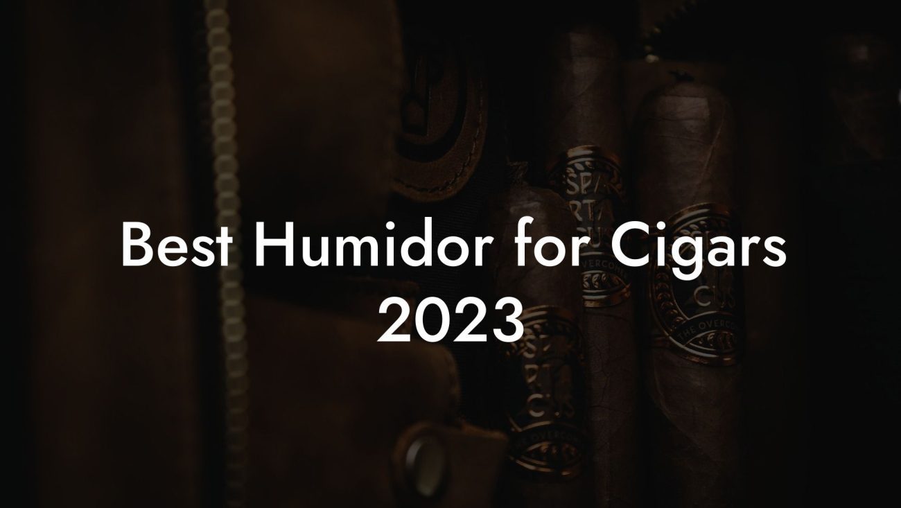 Best Humidor for Cigars 2023