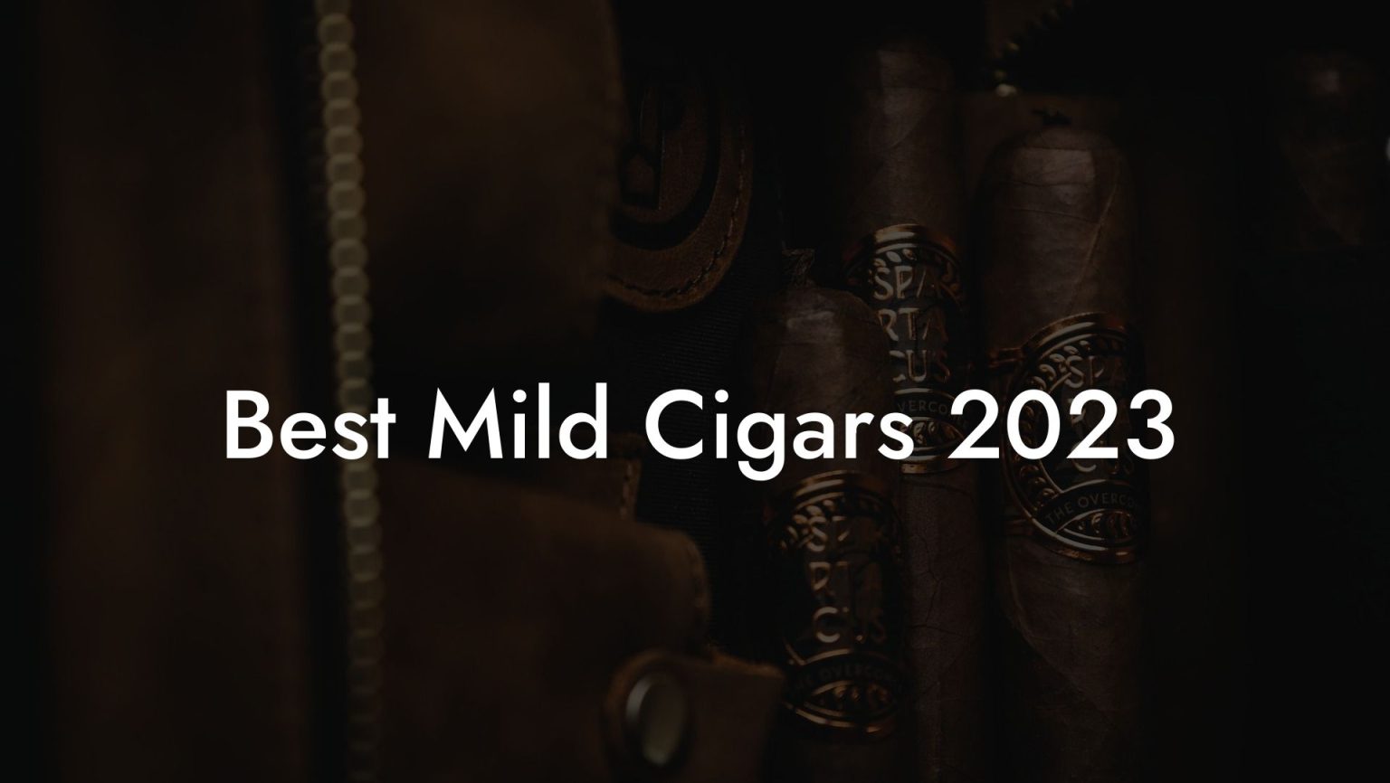 Best Mild Cigars 2023 - Swinger Cigar | Cigar Lifestyle