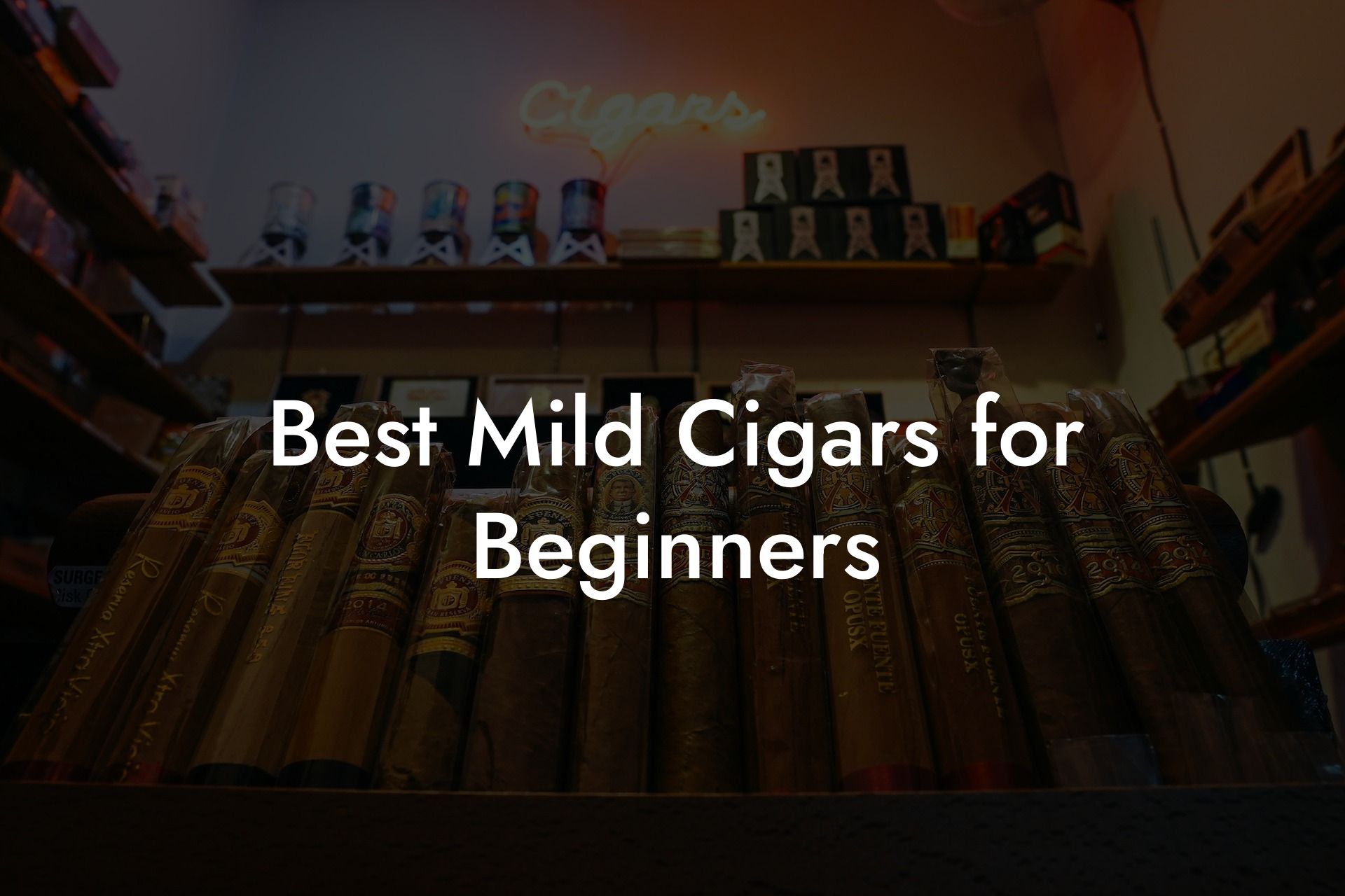 Best Mild Cigars for Beginners