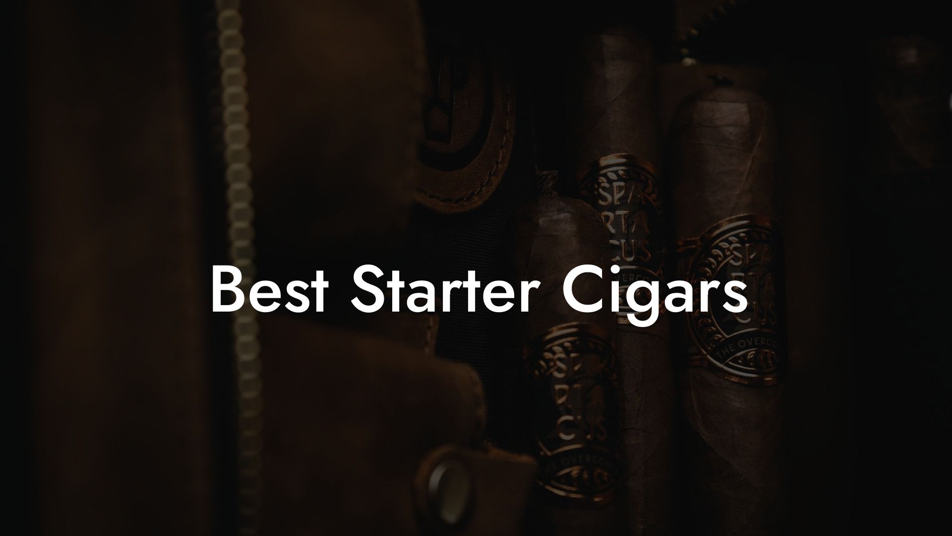 Best Starter Cigars