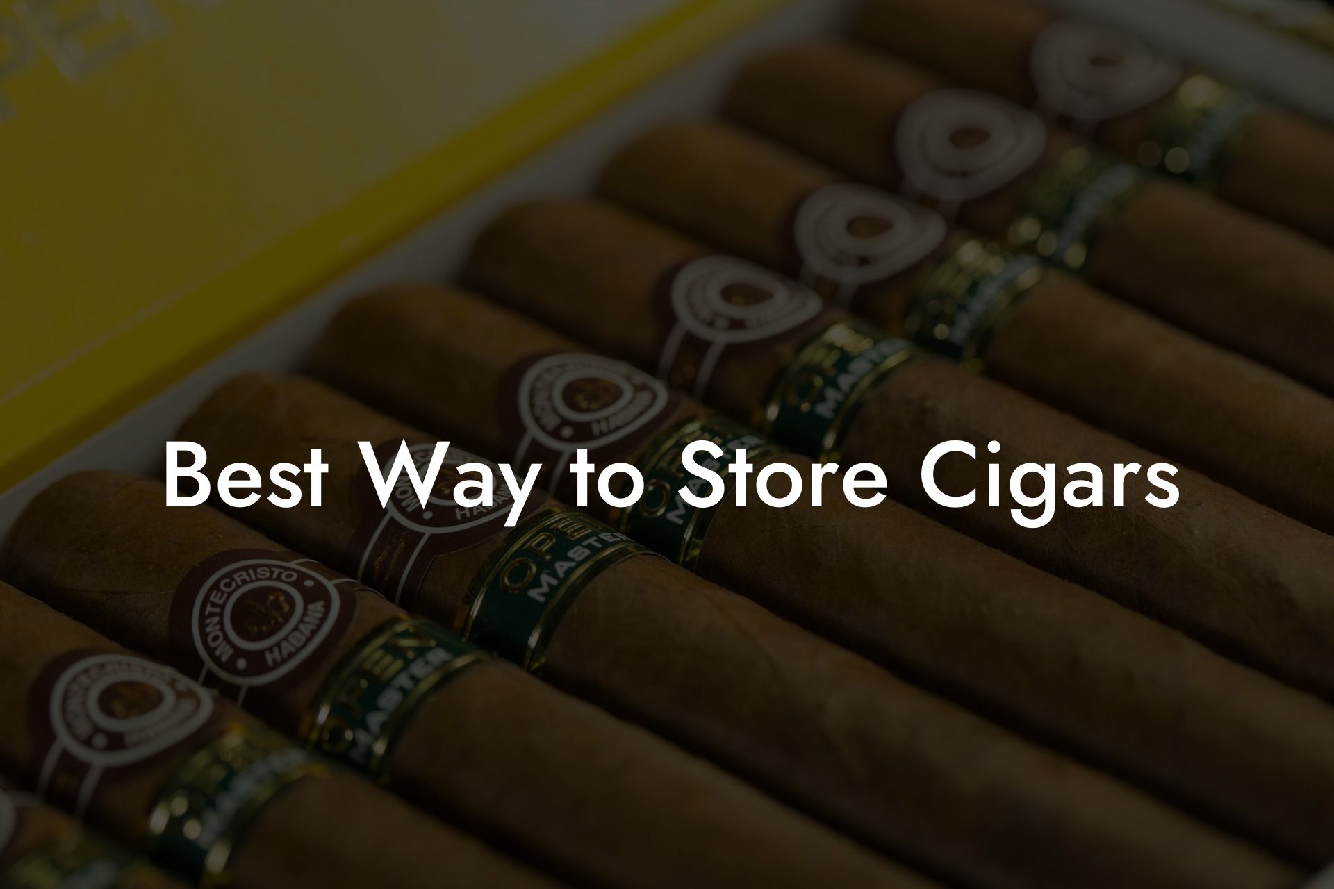 Best Way to Store Cigars