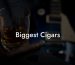 Biggest Cigars