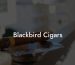 Blackbird Cigars