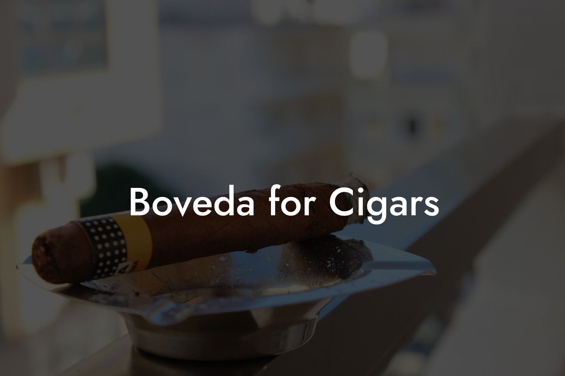 Boveda for Cigars