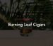 Burning Leaf Cigars