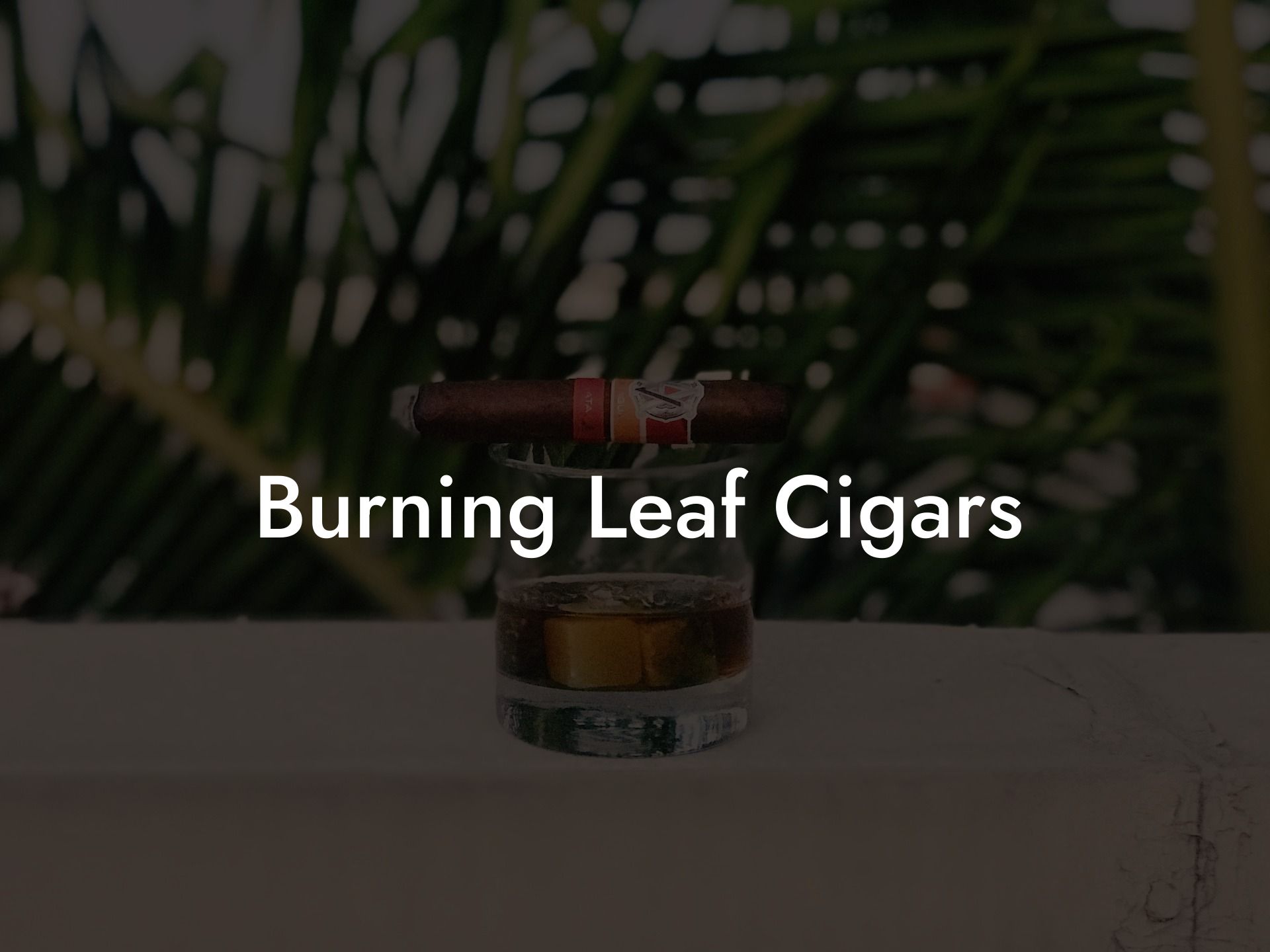 Burning Leaf Cigars