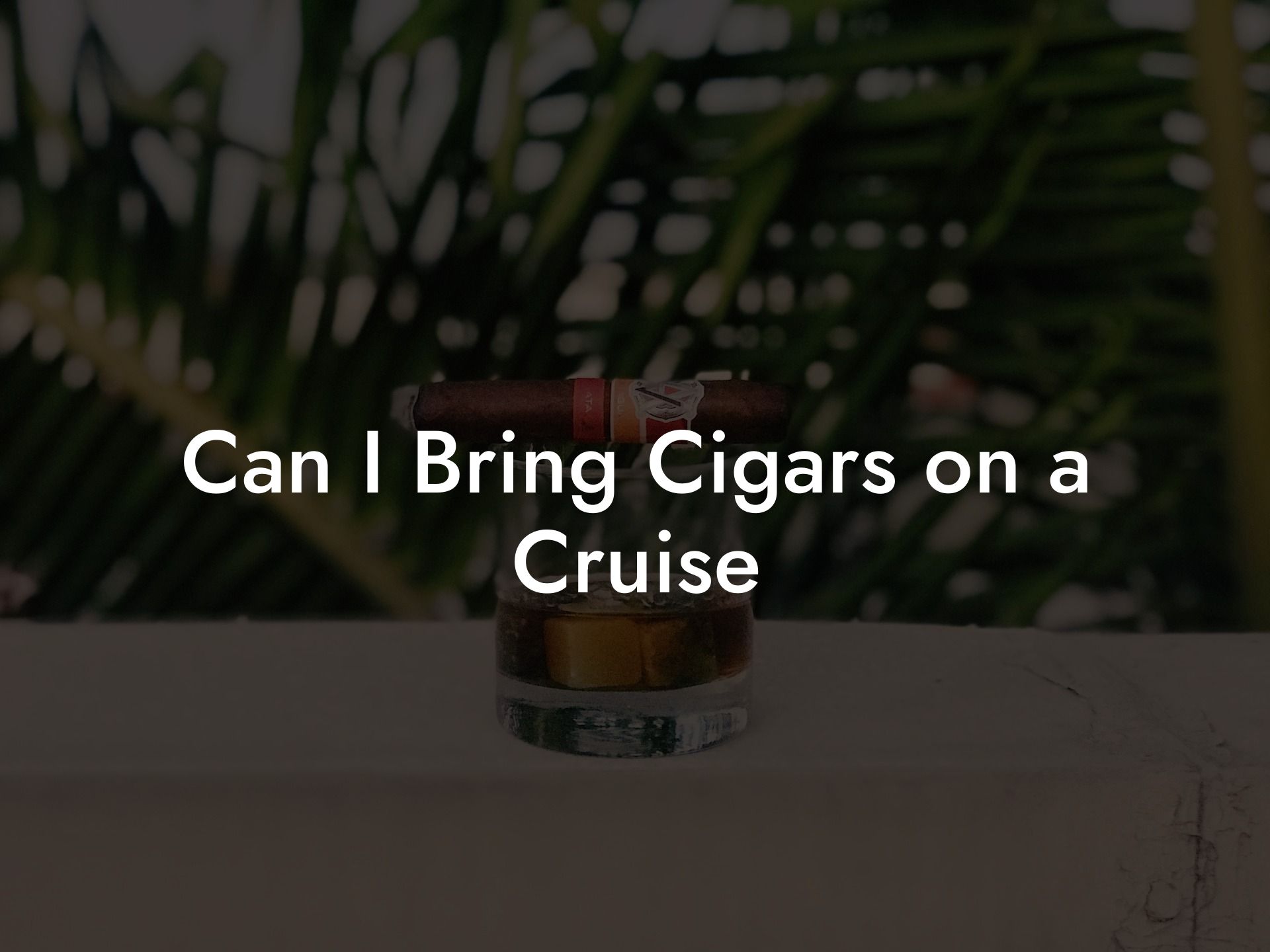 Can I Bring Cigars on a Cruise