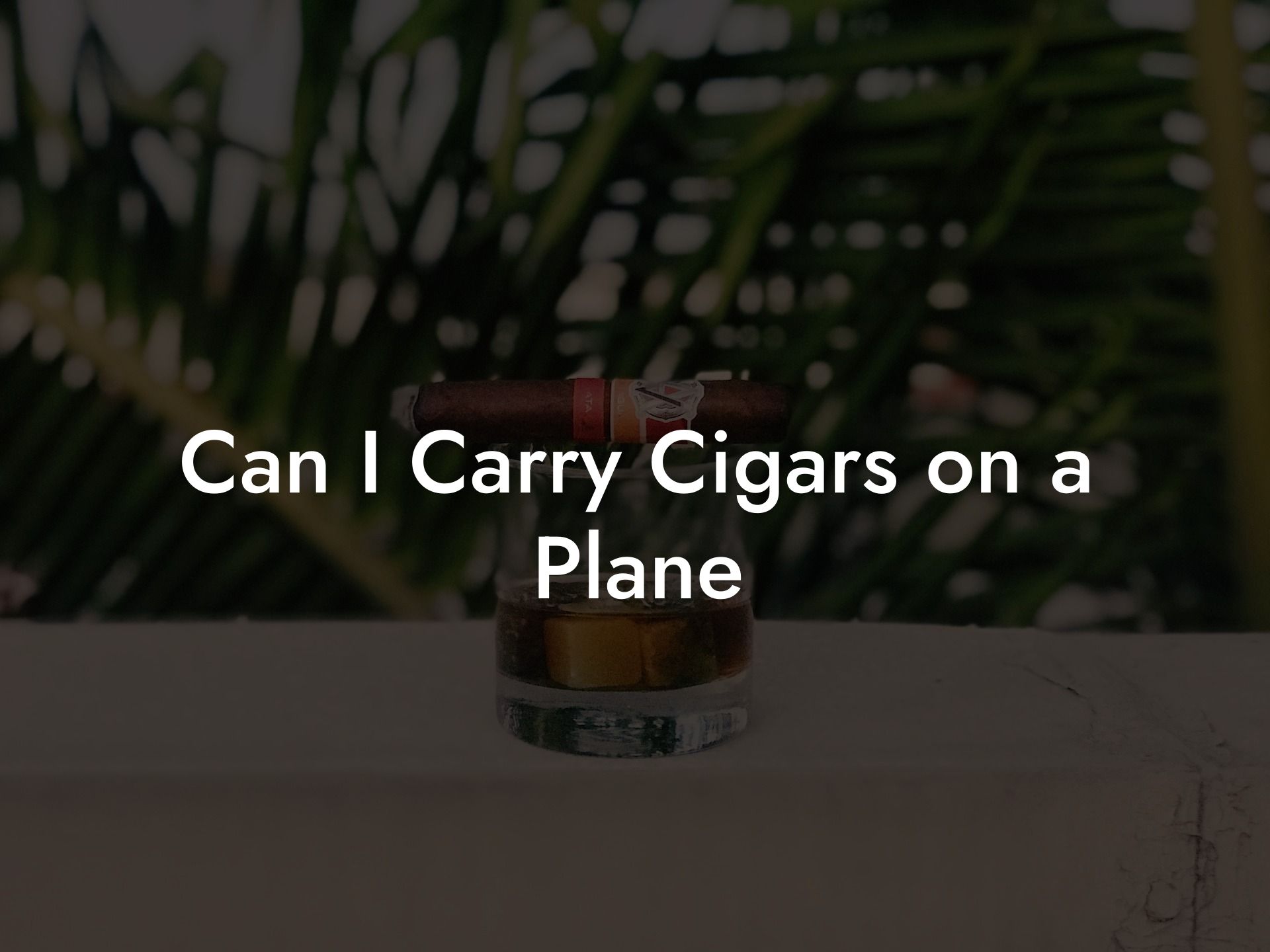 Can I Carry Cigars on a Plane