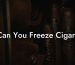 Can You Freeze Cigars