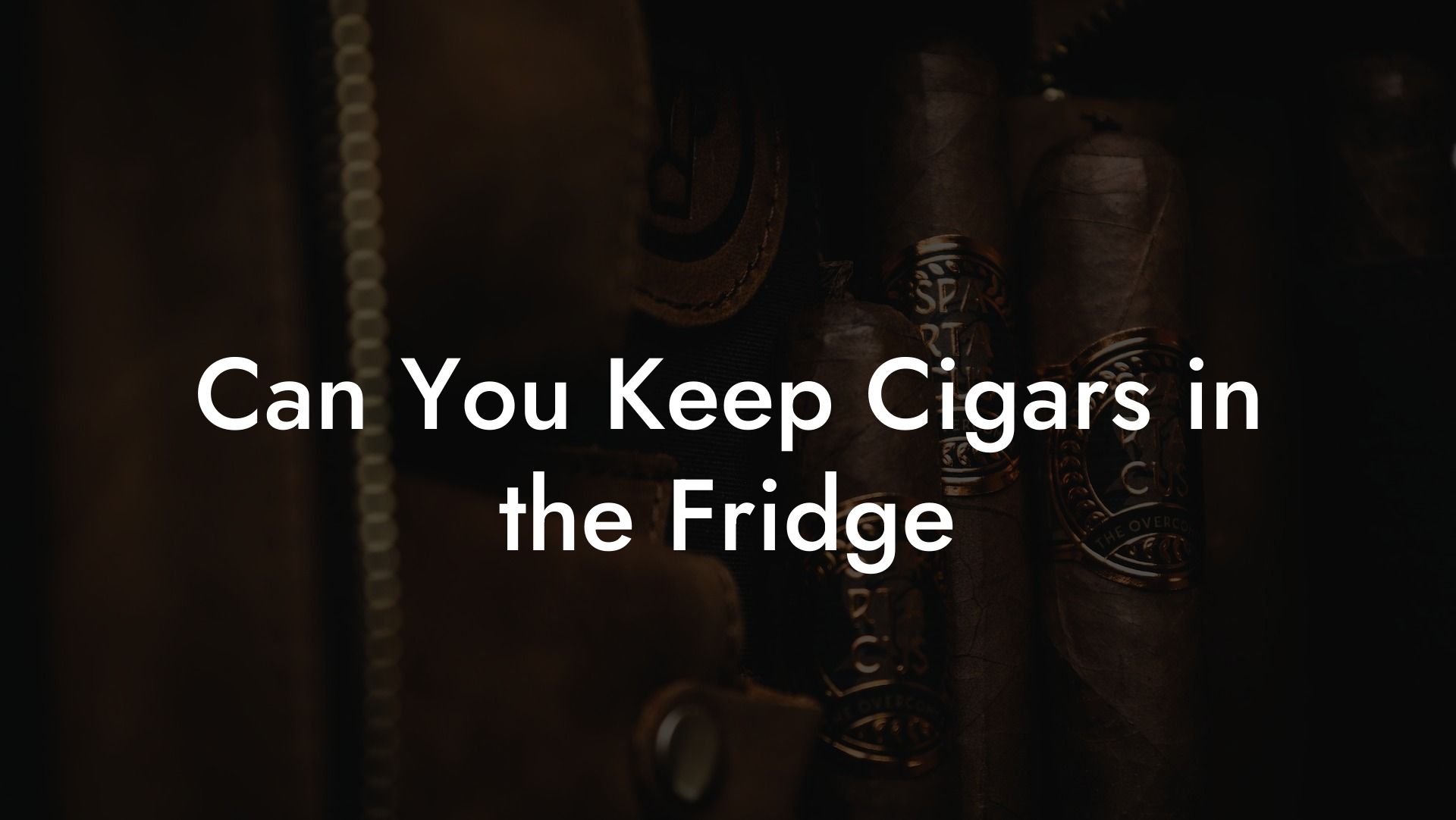 Can You Keep Cigars in the Fridge