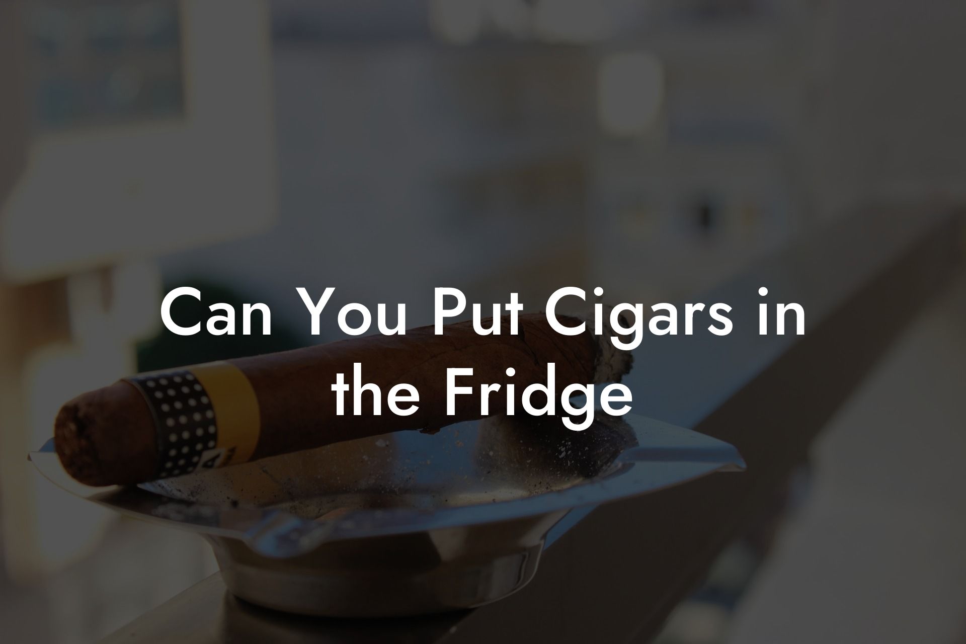 Can You Put Cigars in the Fridge