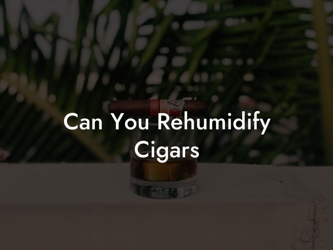 Can You Rehumidify Cigars