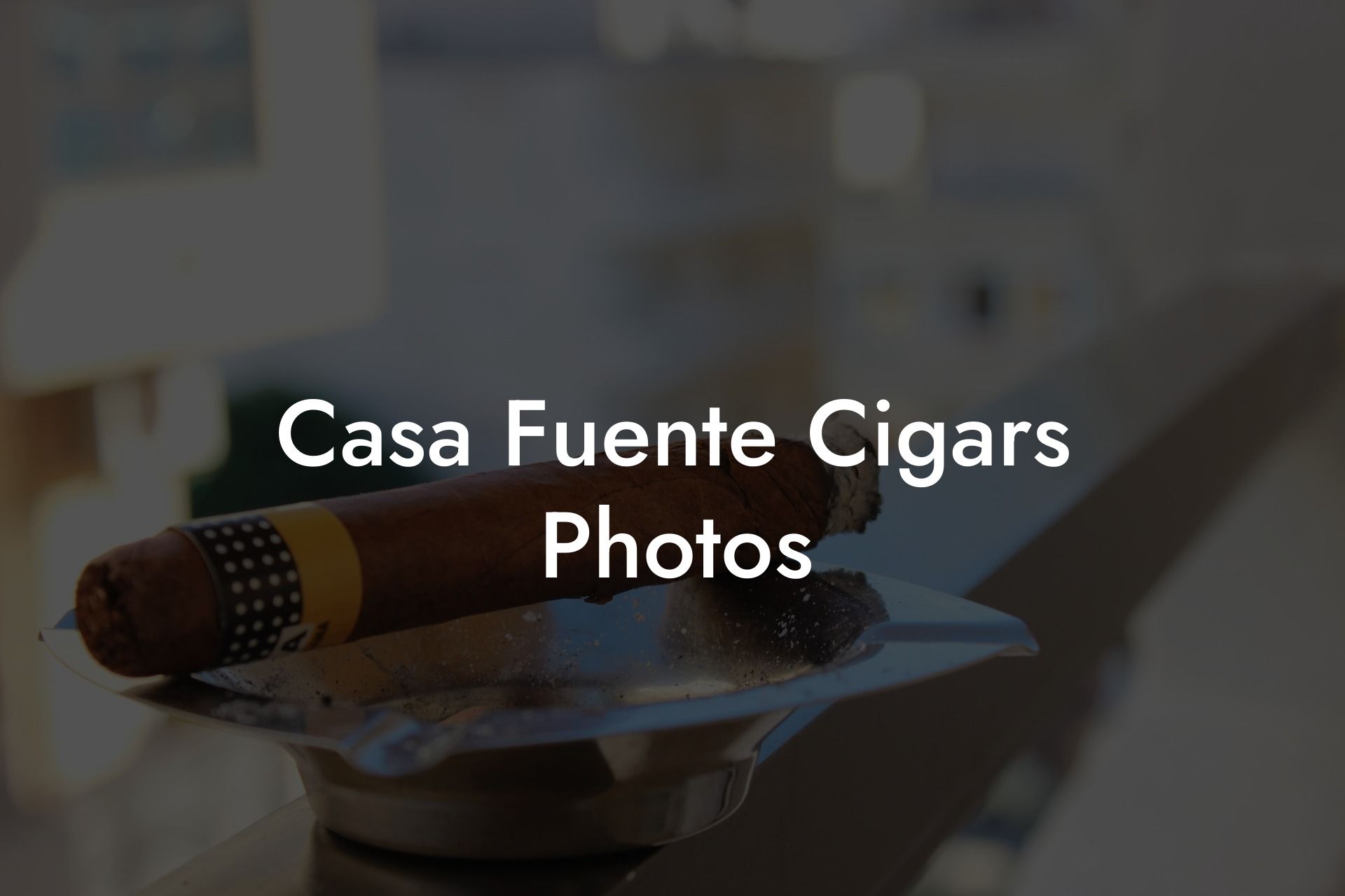 Casa Fuente Cigars Photos