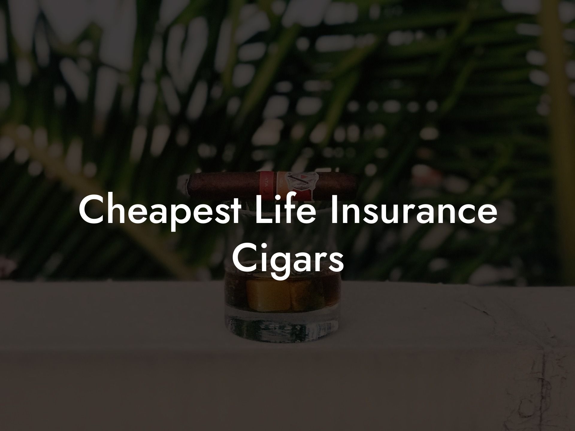 Cheapest Life Insurance Cigars