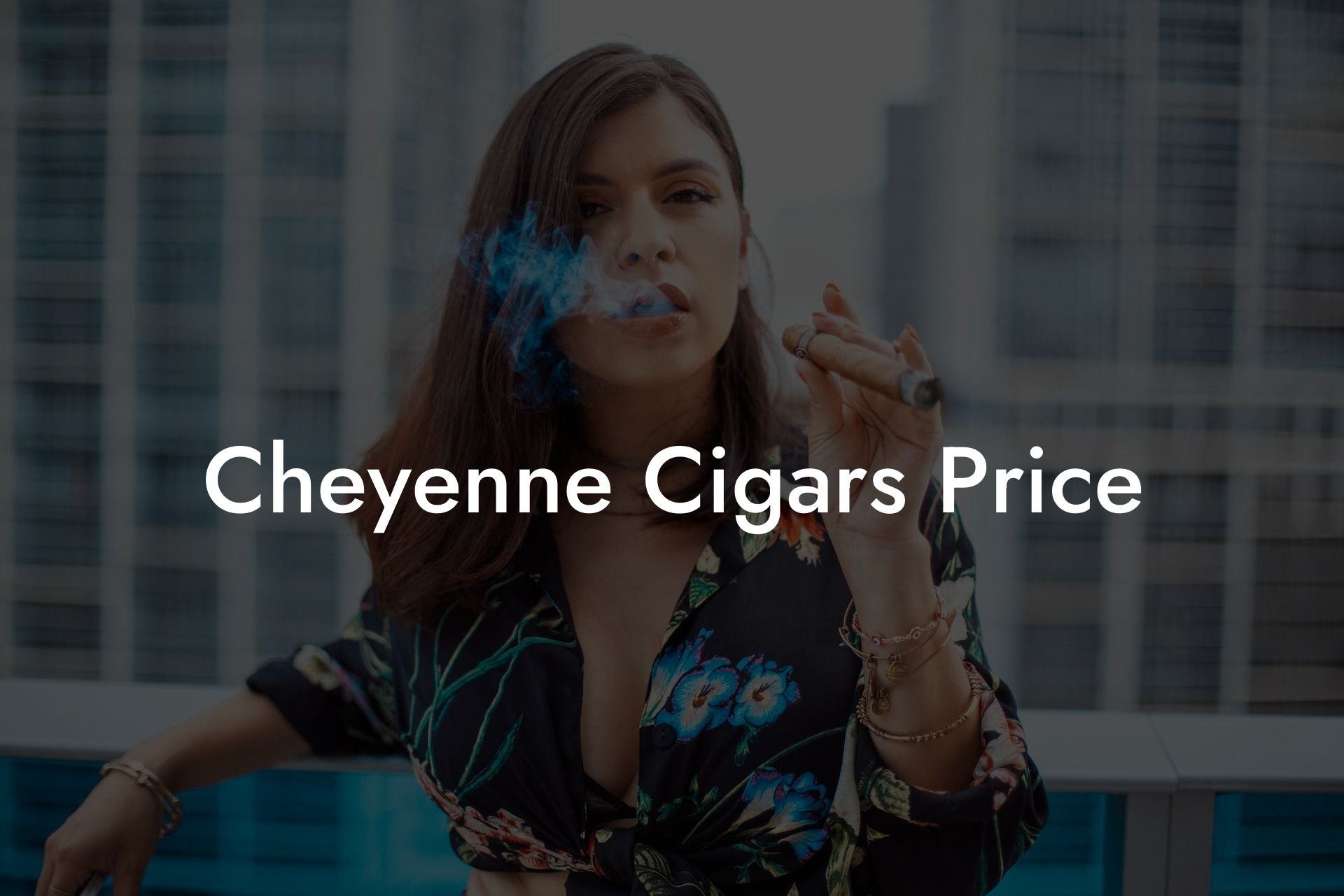 Cheyenne Cigars Price