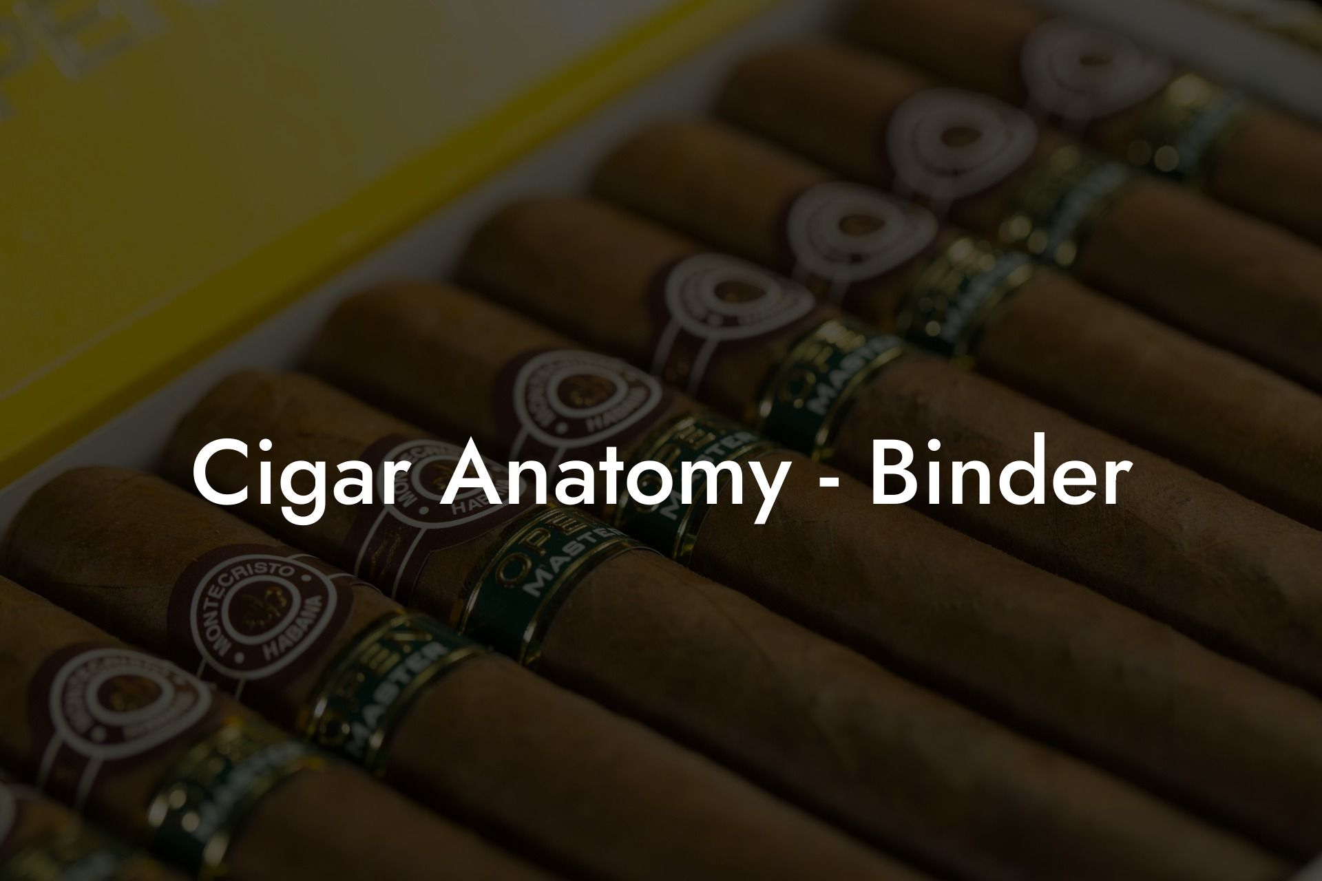 Cigar Anatomy - Binder