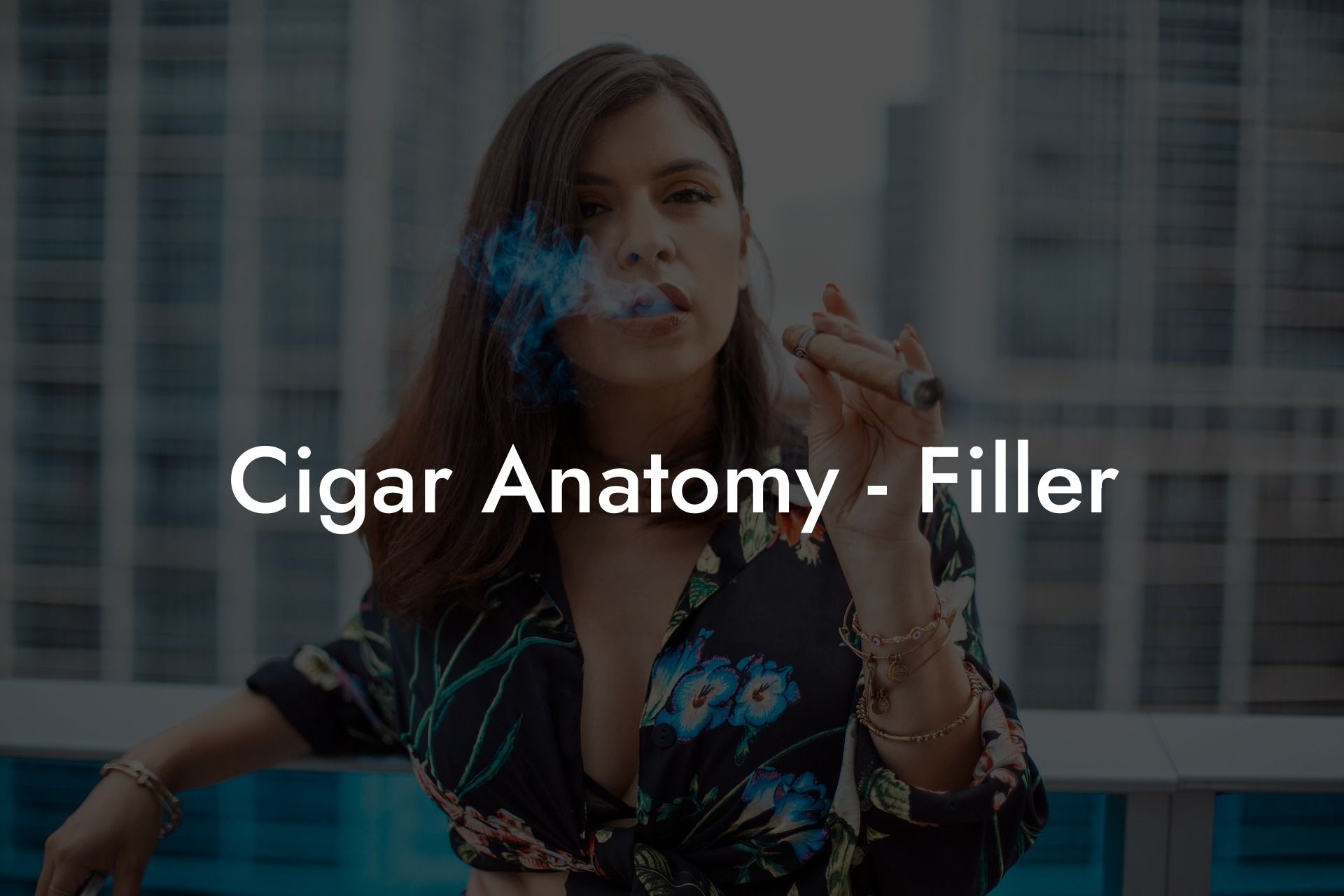 Cigar Anatomy - Filler