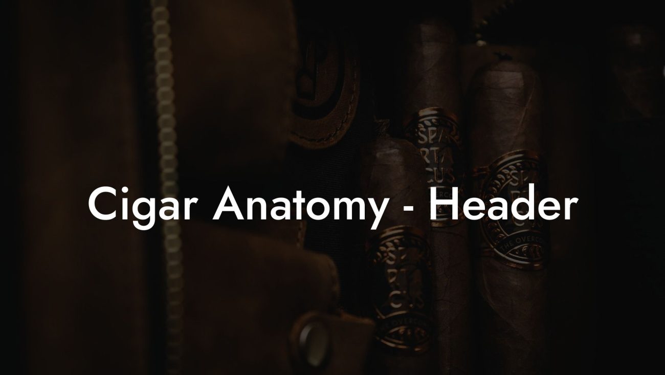 Cigar Anatomy - Header