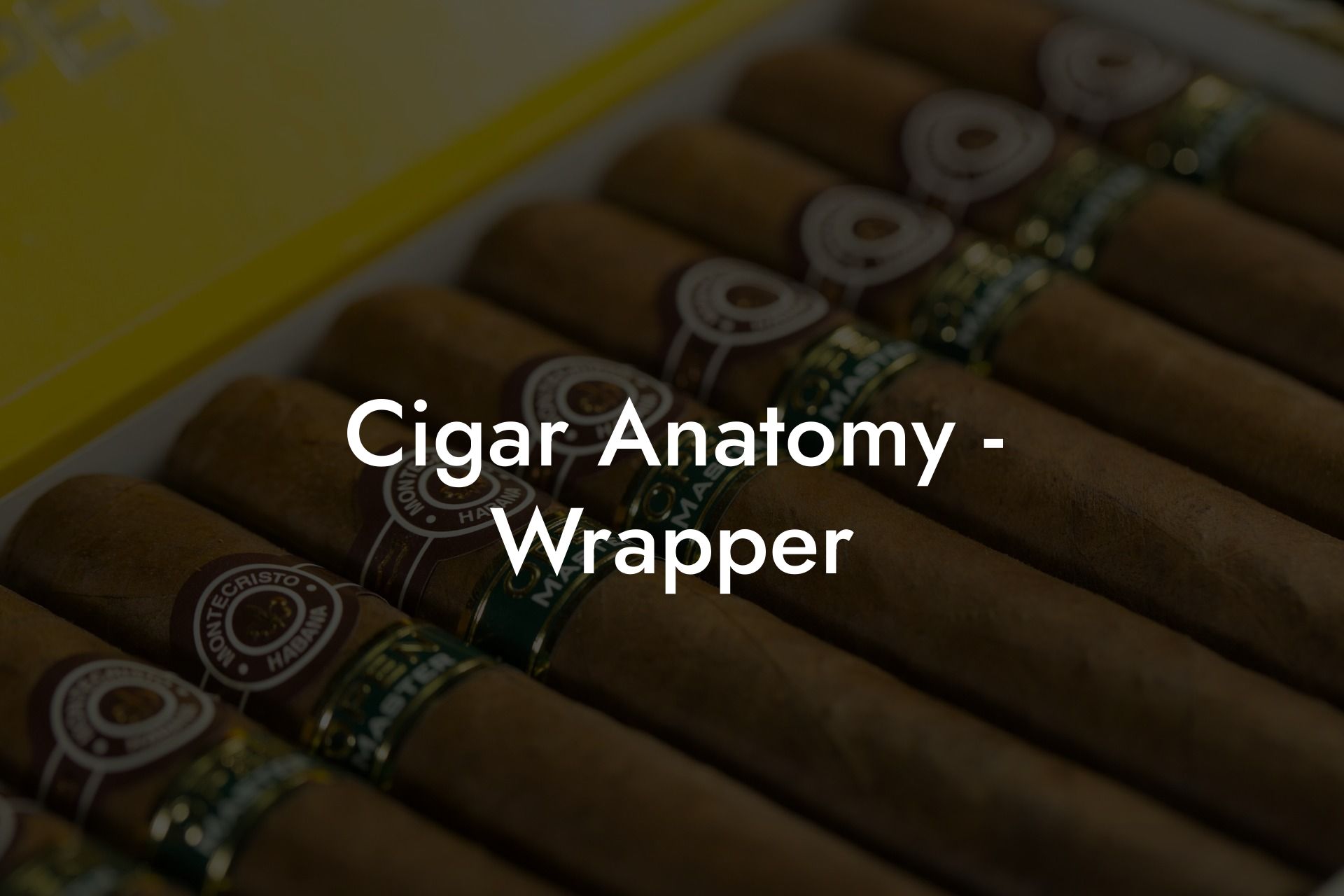 Cigar Anatomy - Wrapper