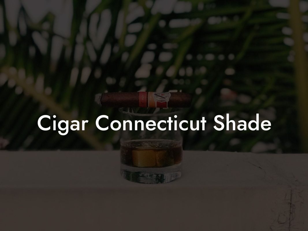 Cigar Connecticut Shade Cigar Connecticut Shade