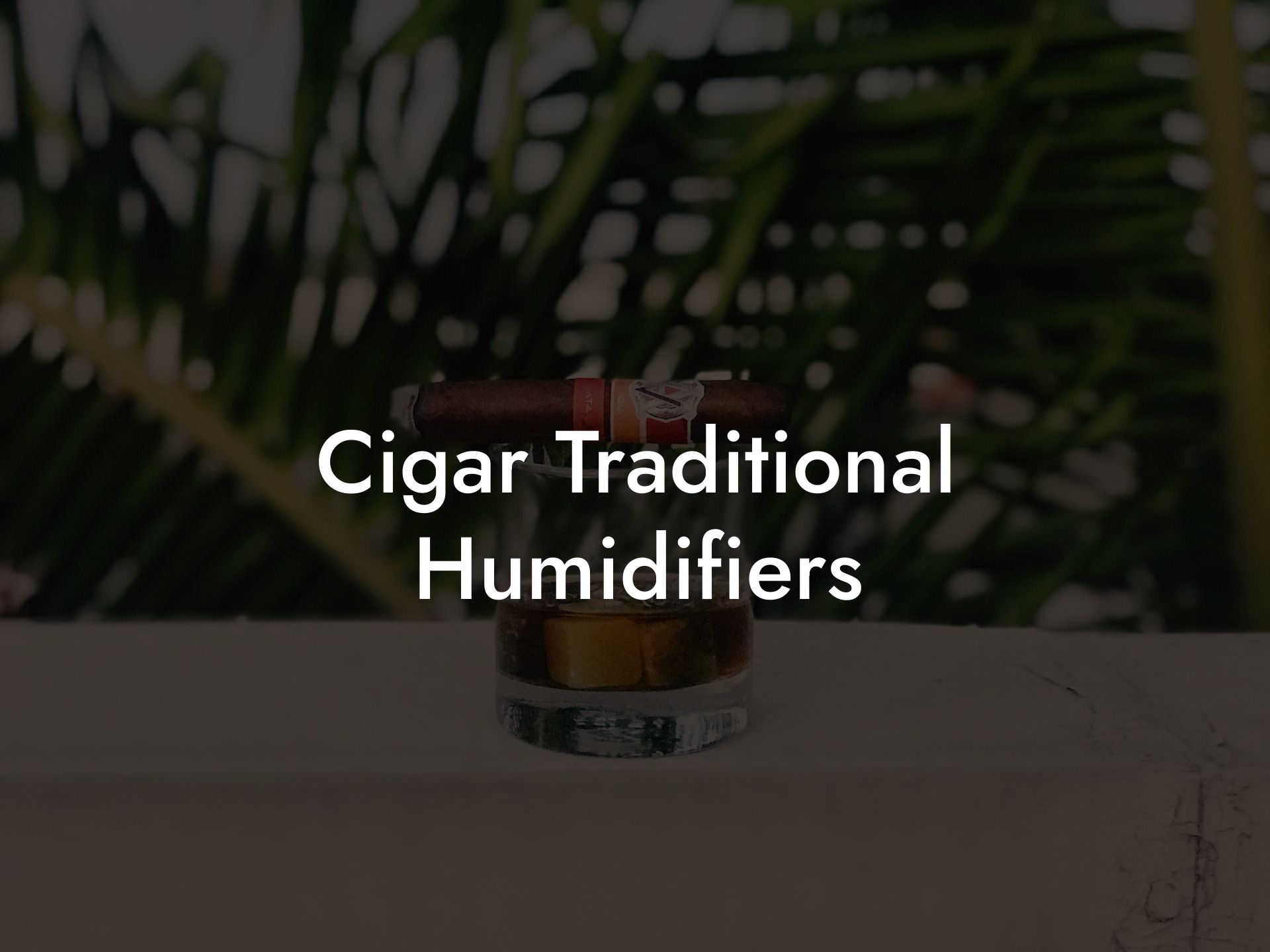 Cigar Traditional Humidifiers