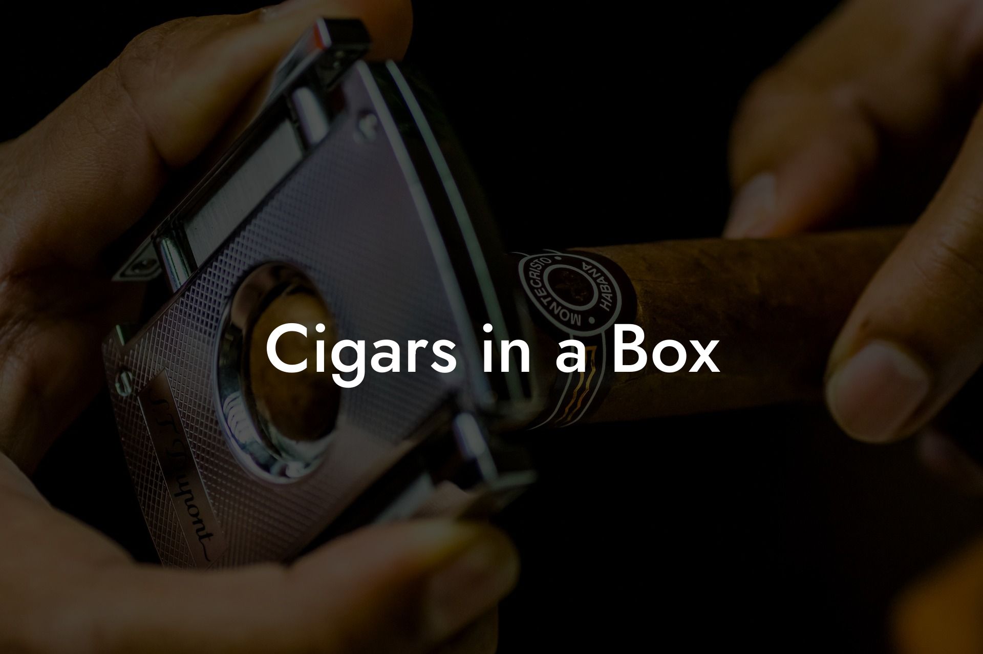 Cigars in a Box