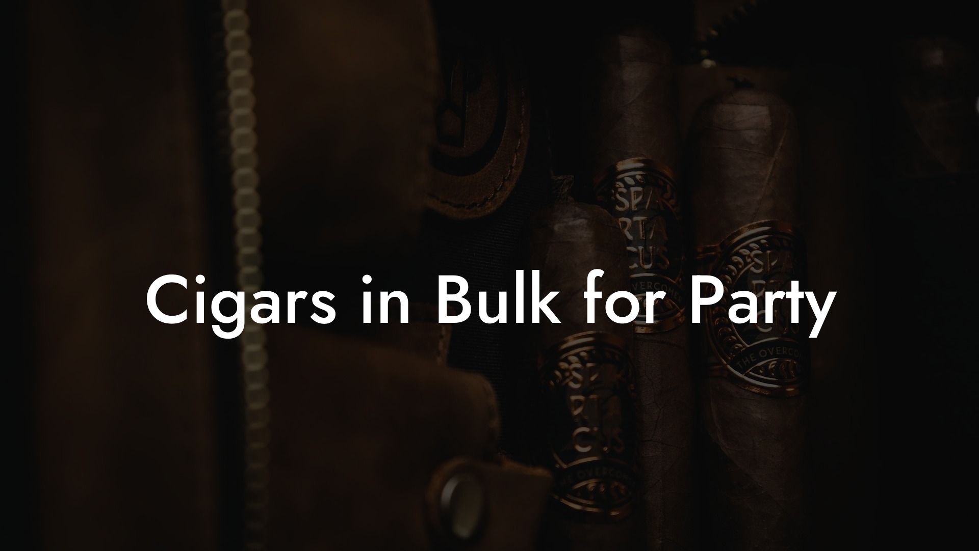 Cigars in Bulk for Party