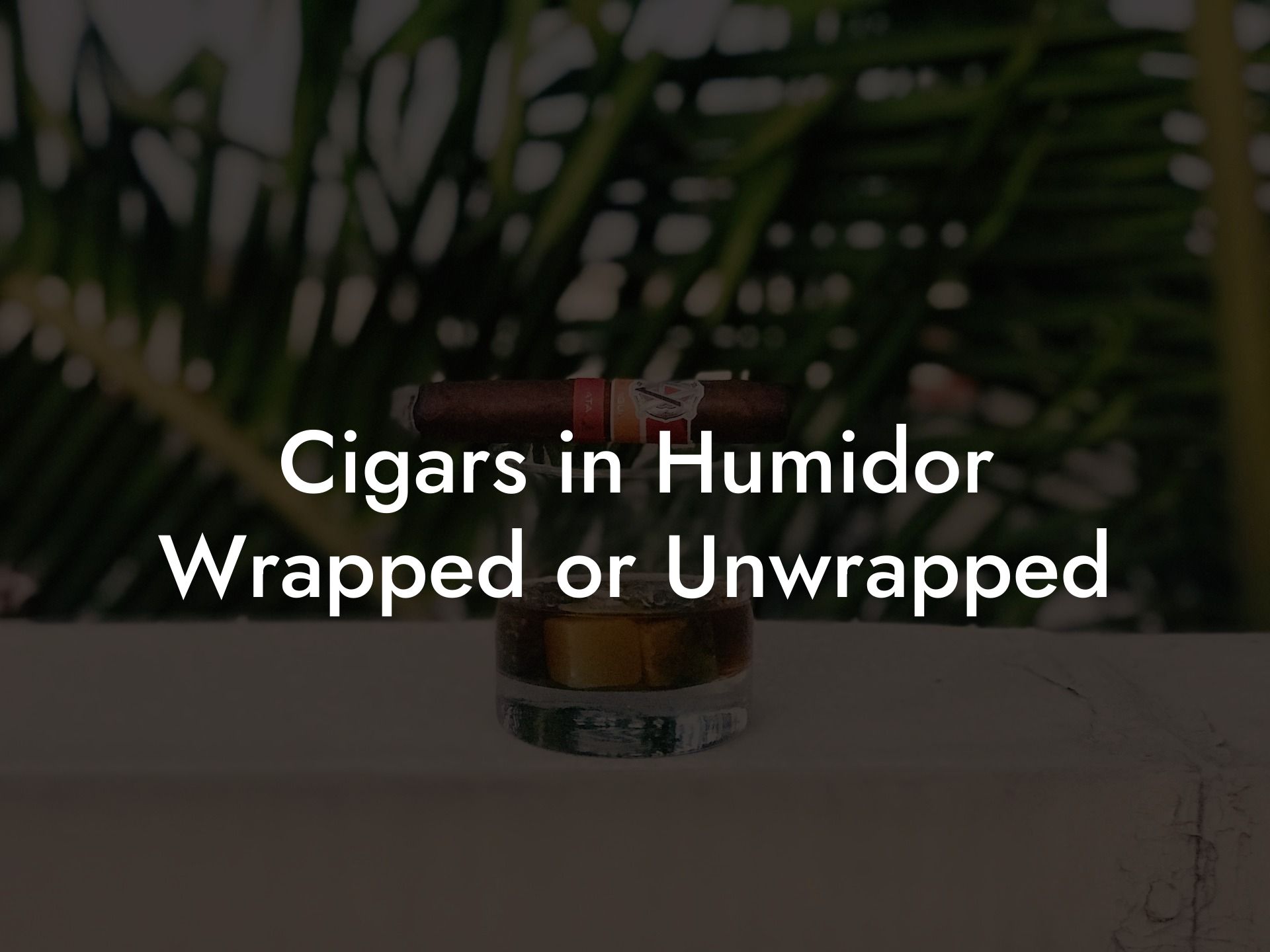 Cigars in Humidor Wrapped or Unwrapped