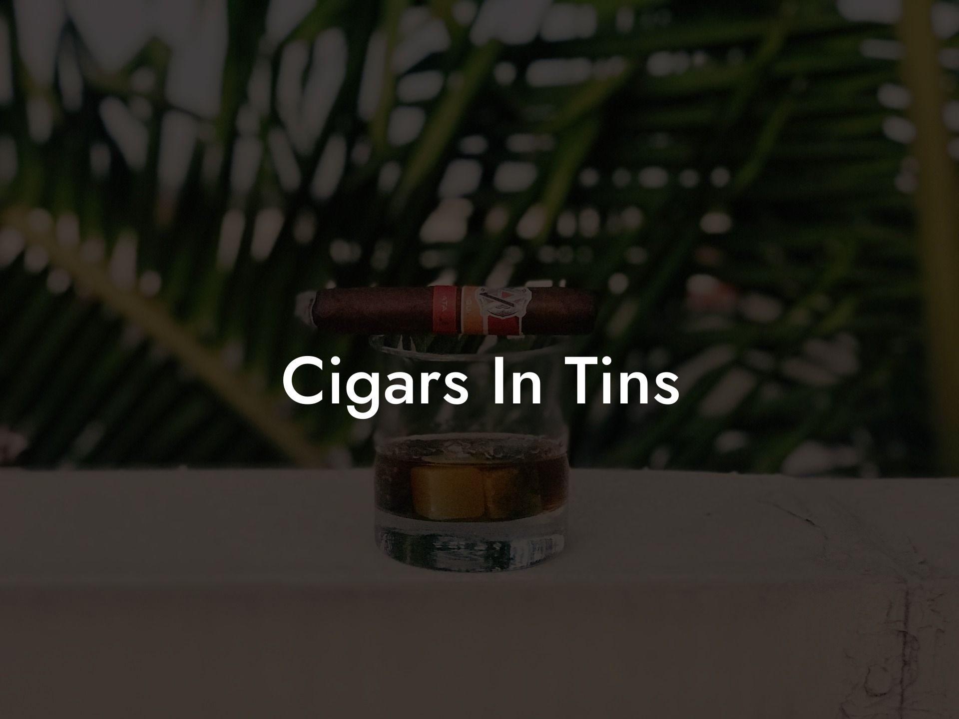 Cigars In Tins