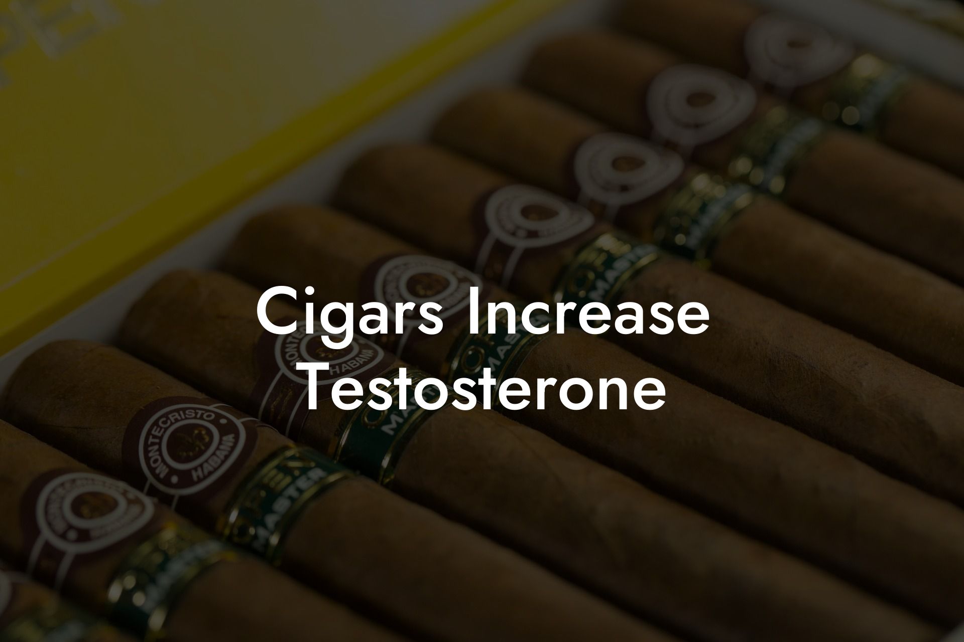 Cigars Increase Testosterone