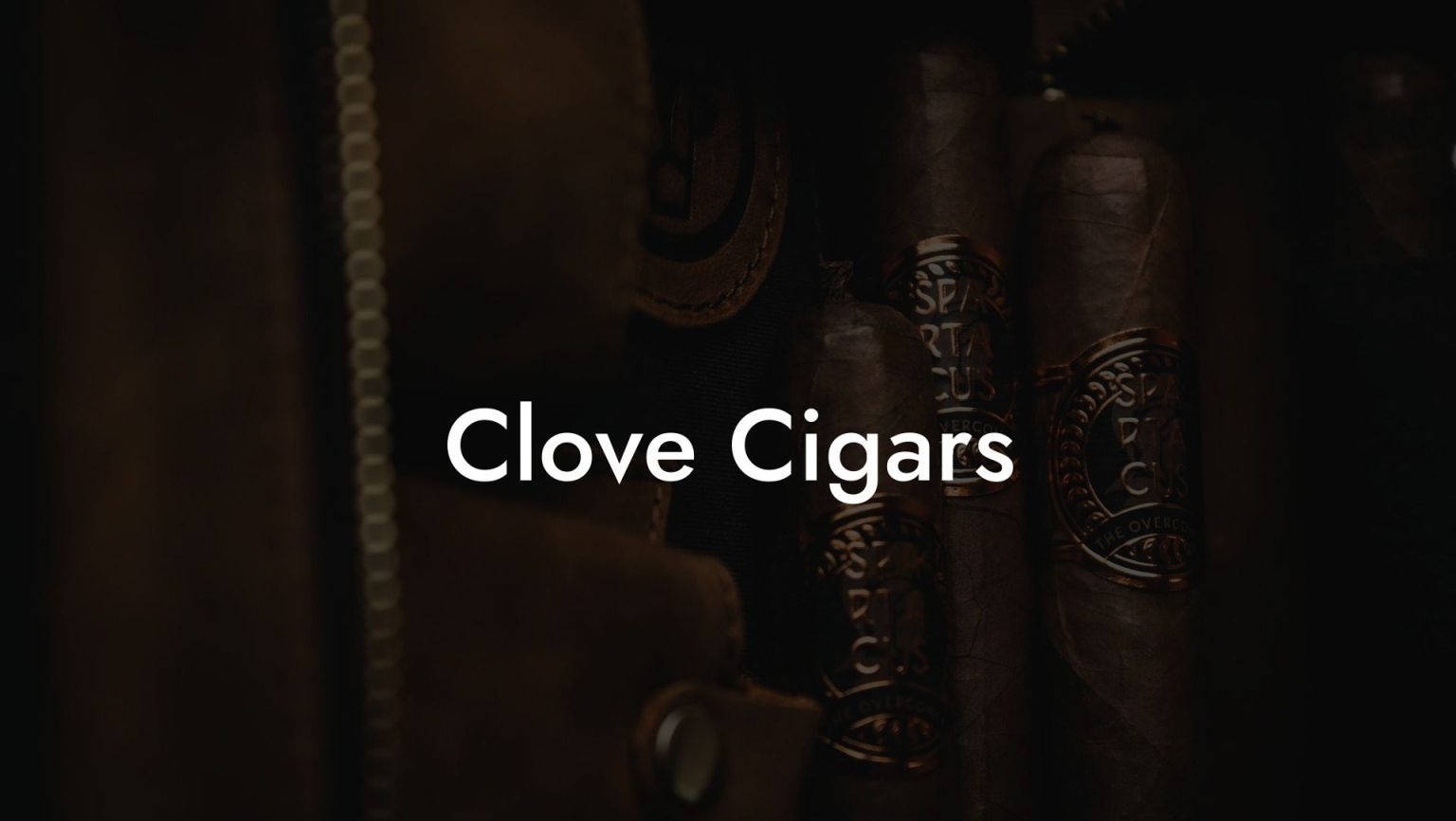 Clove Cigars Swinger Cigar Cigar Lifestyle