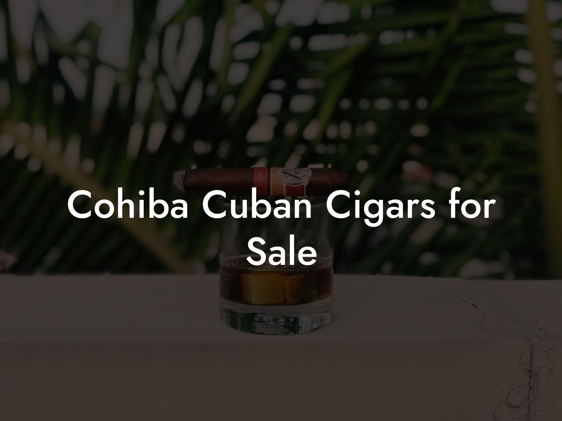 Cohiba Cuban Cigars for Sale