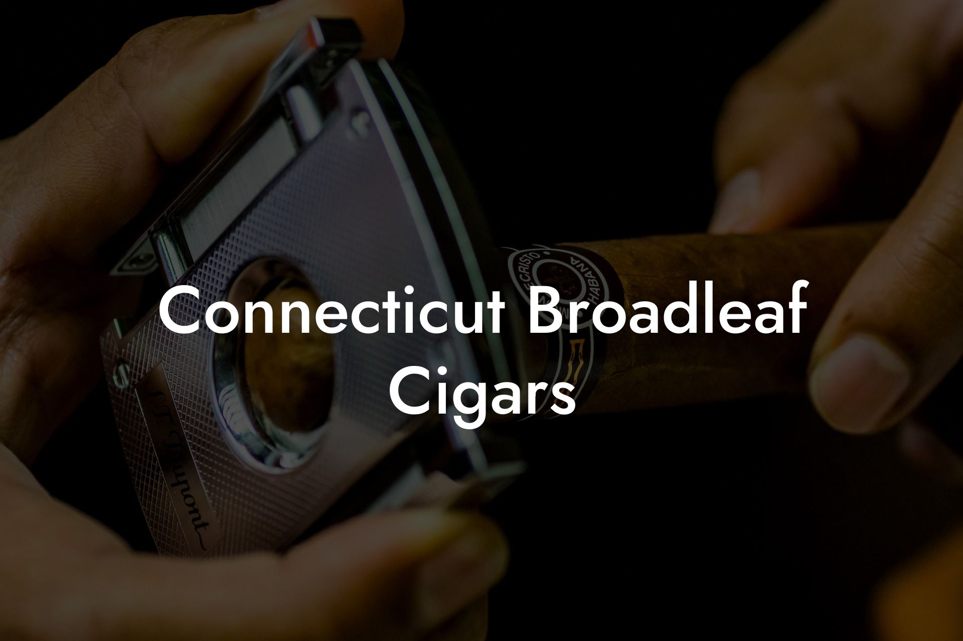 Connecticut Broadleaf Cigars