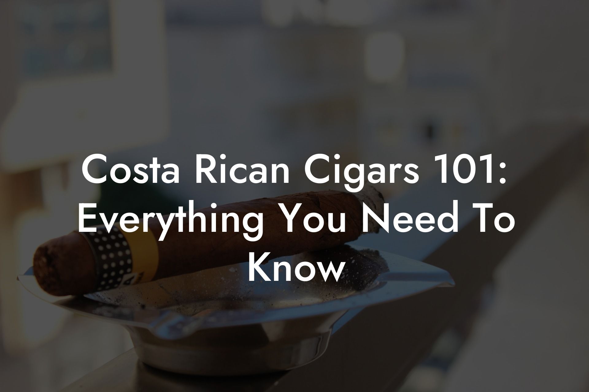 Costa Rican Cigars 101: Everything You Need To Know